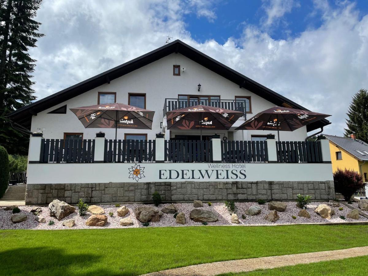 Wellness Hotel Edelweiss Liberec Bagian luar foto