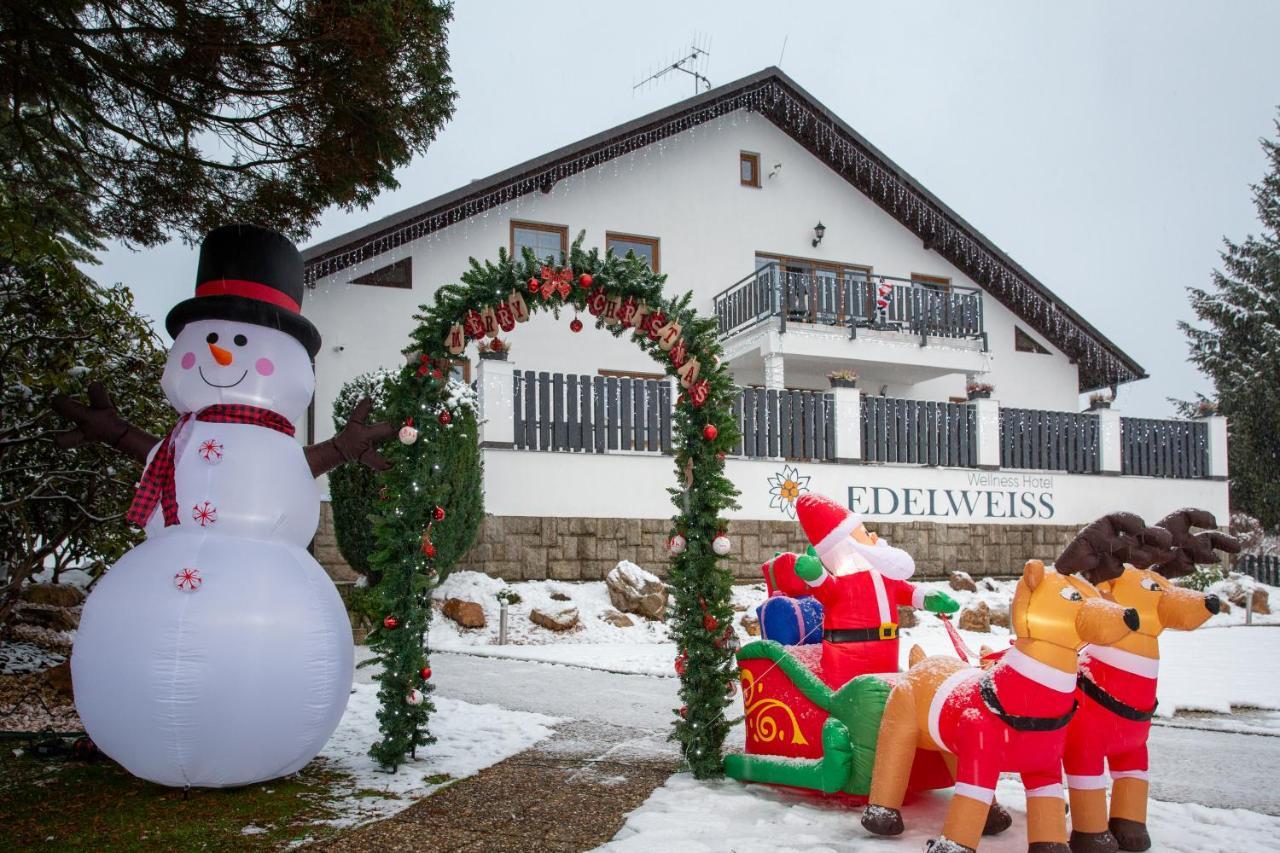 Wellness Hotel Edelweiss Liberec Bagian luar foto